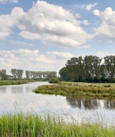 Leserfotos: Wolken in Ostfriesland - Teil 2 - Bild 6