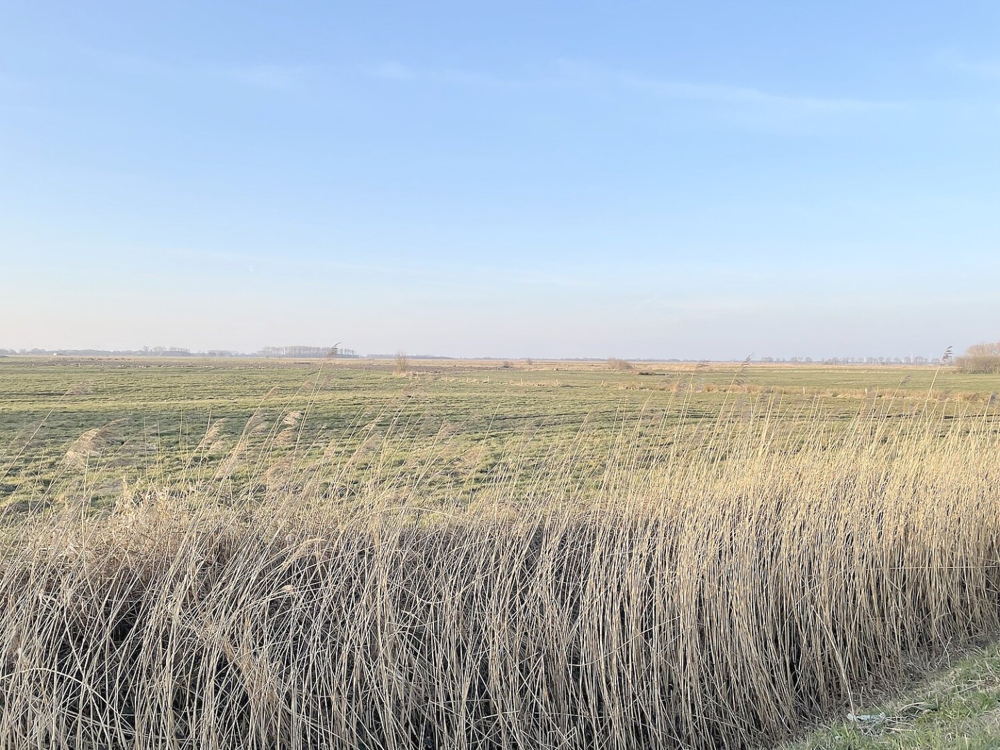 Leserfotos: Wolken in Ostfriesland - Teil 2 - Bild 8