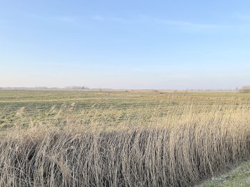 Leserfotos: Wolken in Ostfriesland - Teil 2 - Bild 8