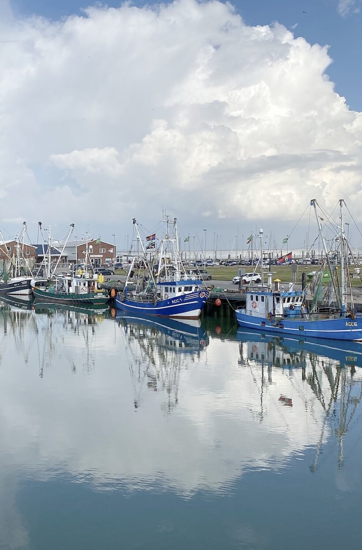 Leserfotos: Wolken in Ostfriesland - Teil 3 - Bild 3
