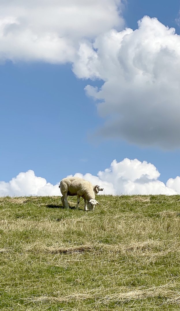 Leserfotos: Wolken in Ostfriesland - Teil 3 - Bild 4