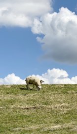 Leserfotos: Wolken in Ostfriesland - Teil 3 - Bild 4