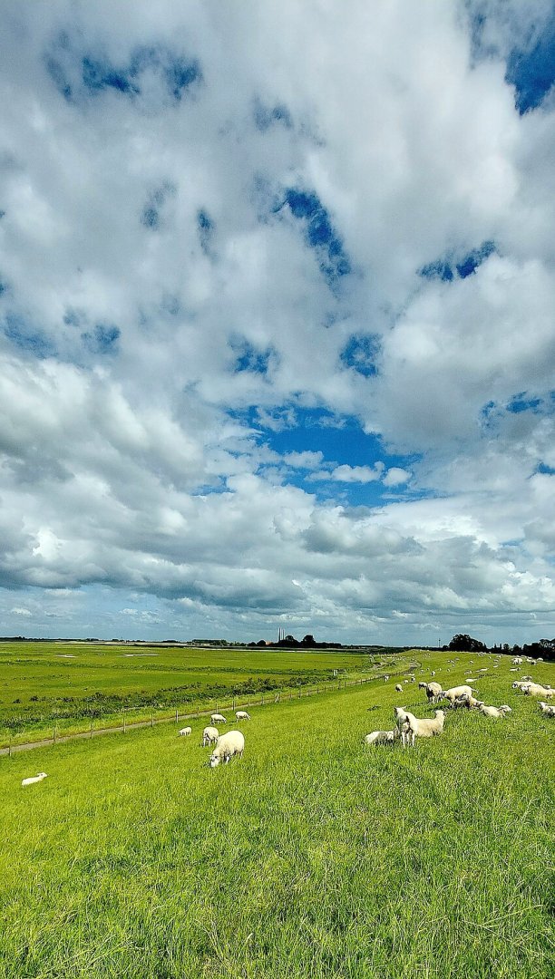 Leserfotos: Wolken in Ostfriesland - Teil 3 - Bild 12