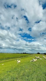 Leserfotos: Wolken in Ostfriesland - Teil 3 - Bild 12