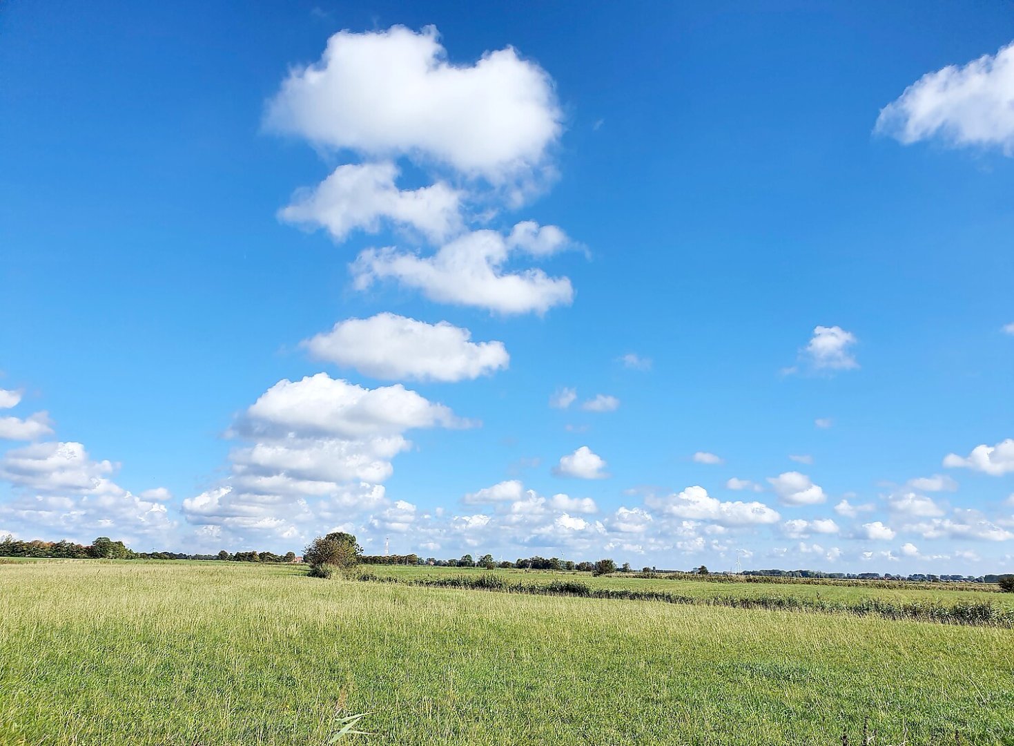 Leserfotos: Wolken in Ostfriesland - Teil 3 - Bild 14