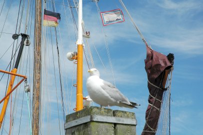 Leserfotos: Wolken in Ostfriesland - Teil 3 - Bild 22