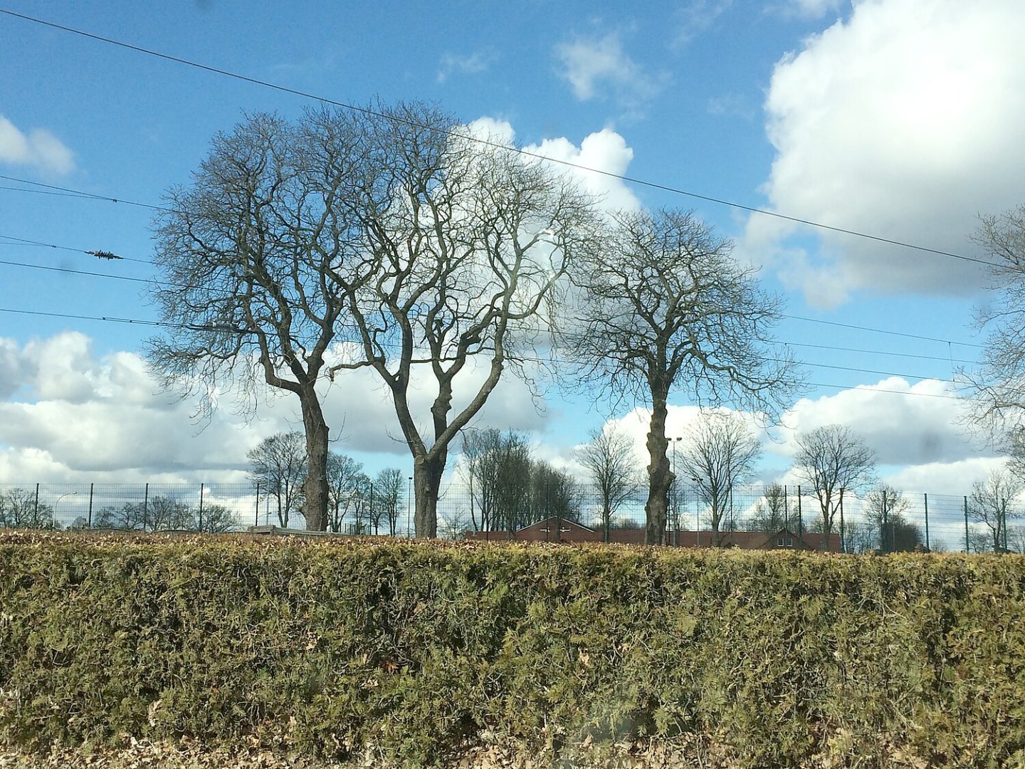 Leserfotos: Wolken in Ostfriesland - Teil 3 - Bild 25