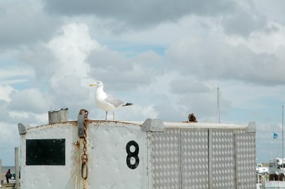 Leserfotos: Wolken in Ostfriesland - Teil 3 - Bild 26