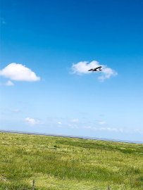 Leserfotos: Wolken in Ostfriesland - Teil 3 - Bild 27