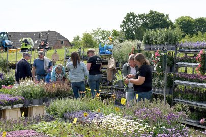 Burggarten Stickhausen vor Besucherrekord - Bild 4