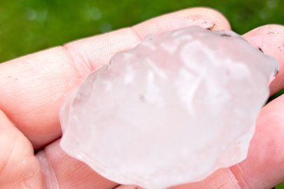 Ostfrieslands dickste Hagelkörner - Bild 3