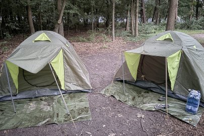 Ausgesetzt in Wiesmoor - Bild 2