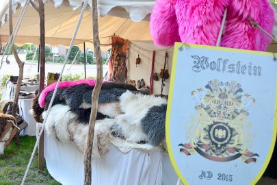 Mittelalterfest in Hesel - Bild 2