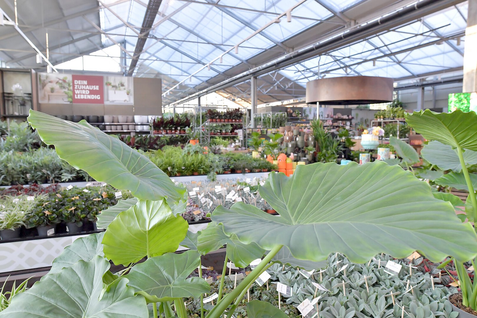 Ostmann-Eröffnung in Emden - Bild 21