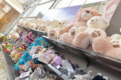 Ostmann-Eröffnung in Emden - Bild 31