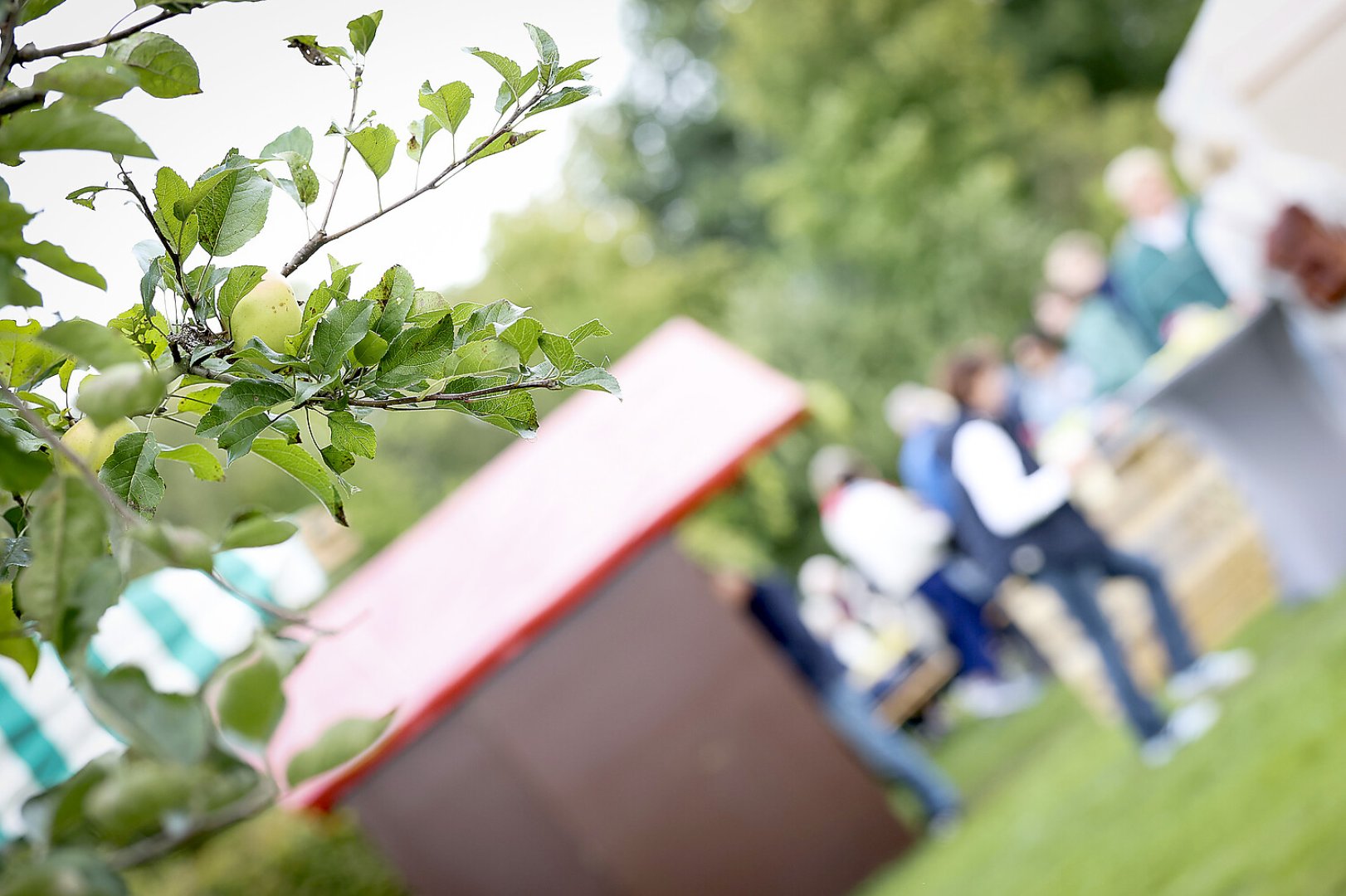 Weinfest im Ökowerk - Bild 9