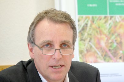 Kachelotplate wird eine Insel - Bild 2