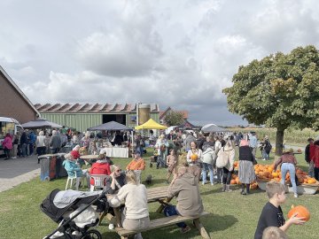 Das war los auf dem Kürbismarkt in Emden - Bild 3