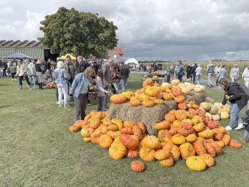 Das war los auf dem Kürbismarkt in Emden - Bild 4