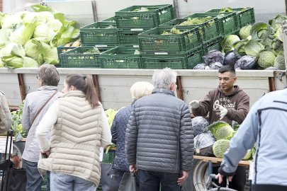 Erntedankfest auf dem Neuen Markt in Emden - Bild 6