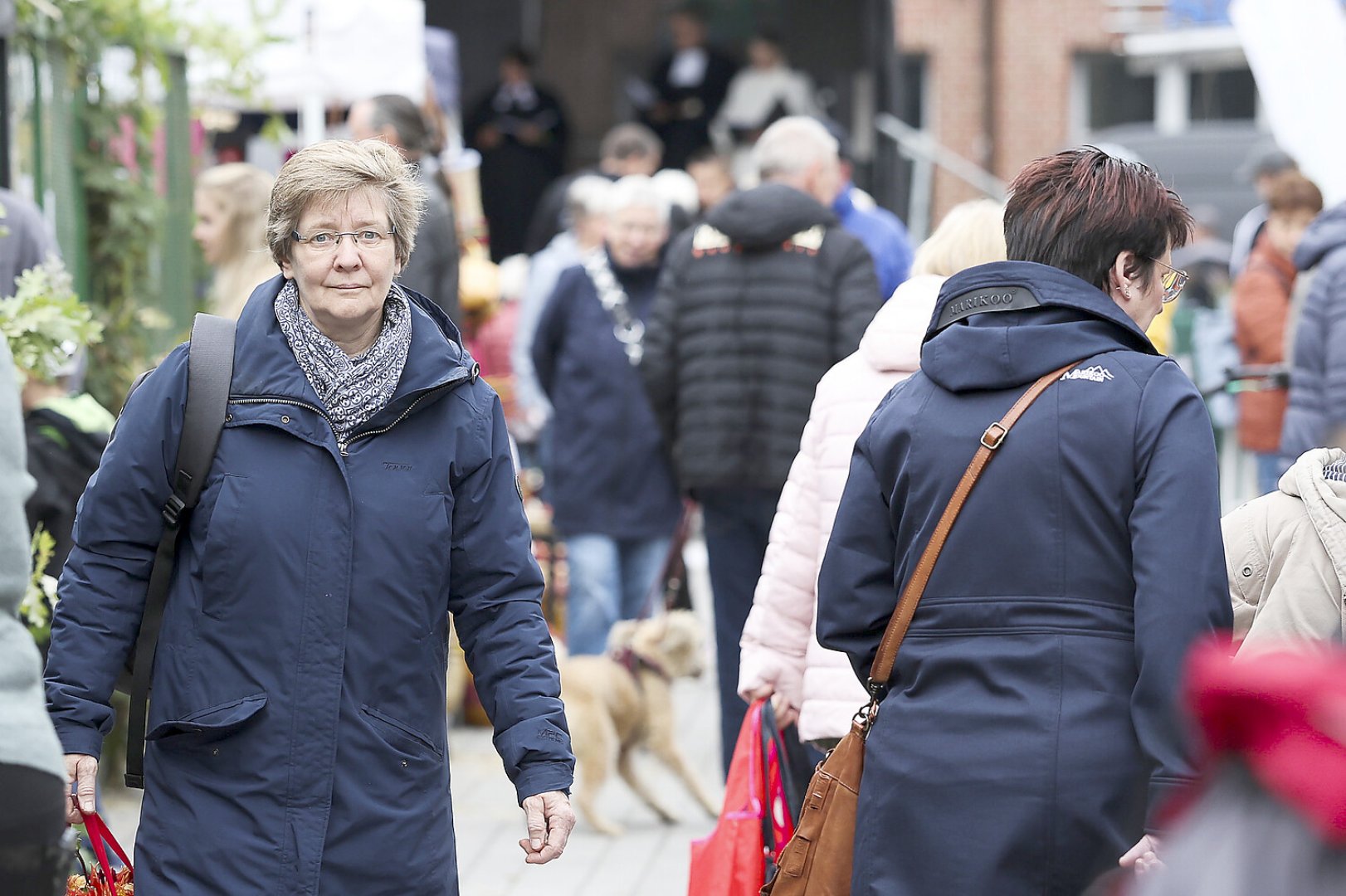 Erntedankfest auf dem Neuen Markt in Emden - Bild 35