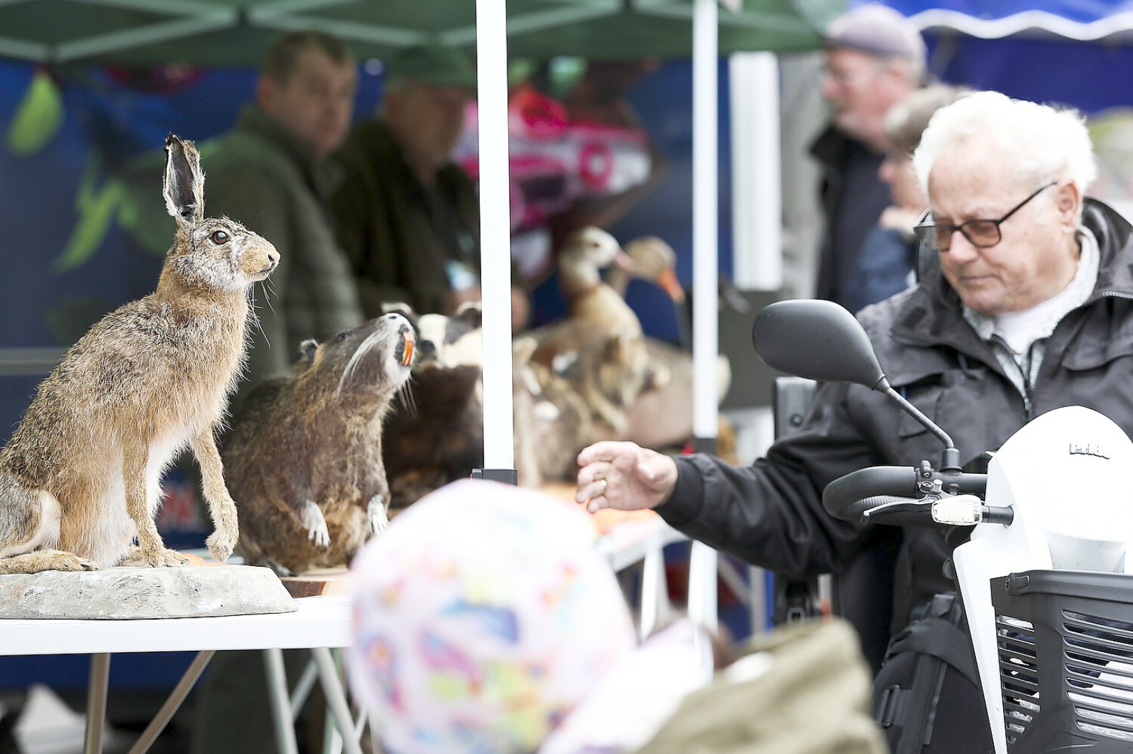 Erntedankfest auf dem Neuen Markt in Emden - Bild 38