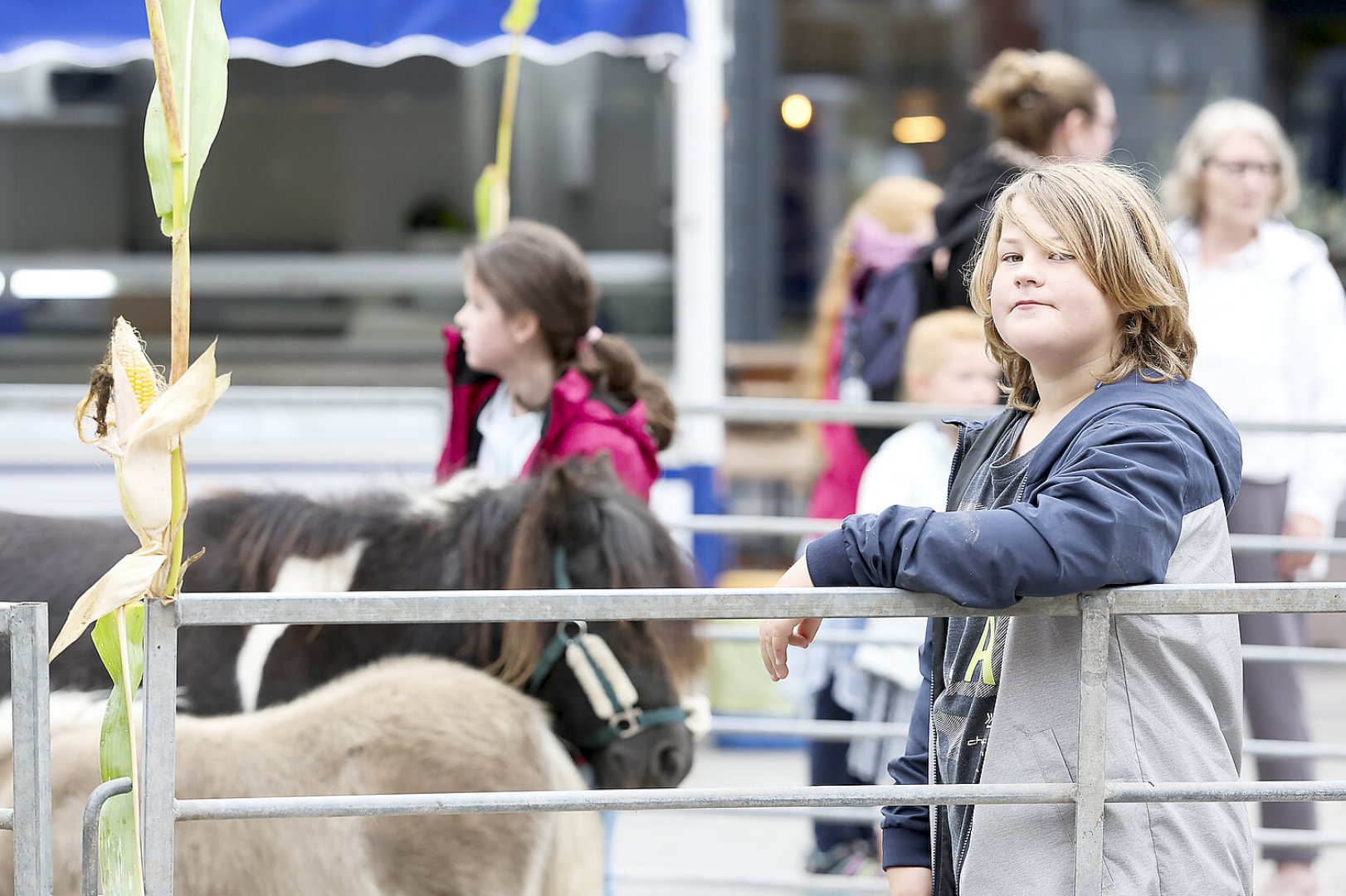 Erntedankfest auf dem Neuen Markt in Emden - Bild 51