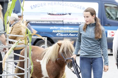 Erntedankfest auf dem Neuen Markt in Emden - Bild 52