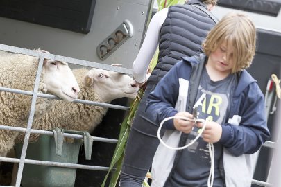 Erntedankfest auf dem Neuen Markt in Emden - Bild 53