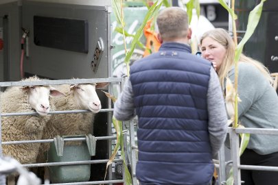 Erntedankfest auf dem Neuen Markt in Emden - Bild 55