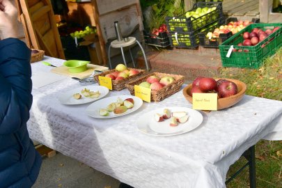 Früchtefest im Emder Ökowerk - Bild 27