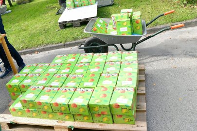 Früchtefest im Emder Ökowerk - Bild 29