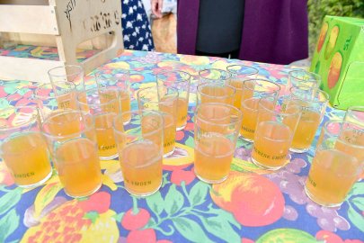 Früchtefest im Emder Ökowerk - Bild 31