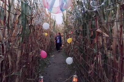 Lichterabend beim Maislabyrinth - Bild 2