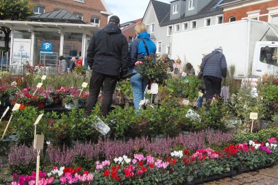 Auricher Heidemarkt in den Regenpausen gut besucht - Bild 4