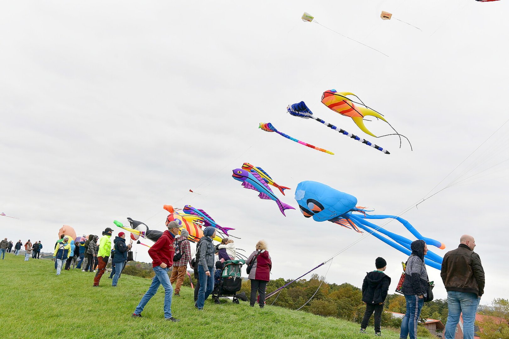 40. Drachenfest in Upleward  - Bild 1