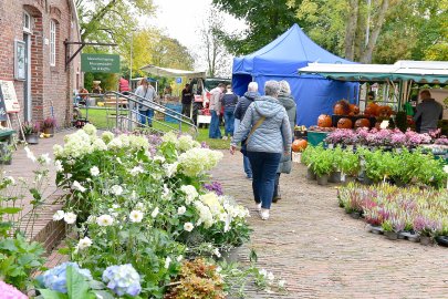 Apfelfest in Campen  - Bild 3