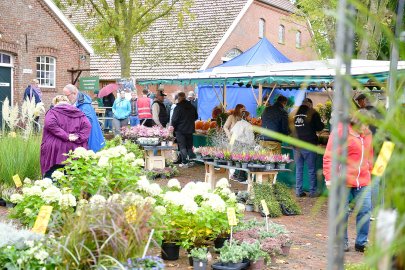 Apfelfest in Campen  - Bild 4