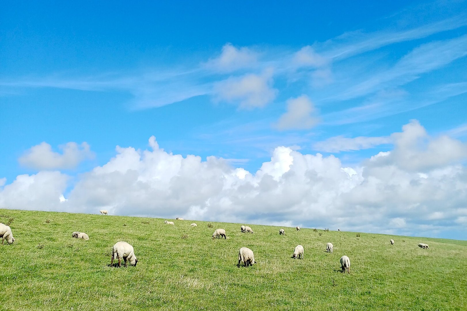 So schön ist unser Ostfriesland, Teil 1 - Bild 2