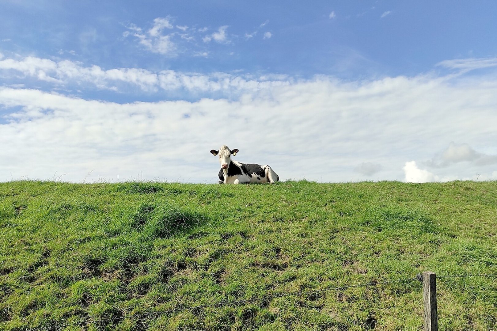 So schön ist unser Ostfriesland, Teil 1 - Bild 5
