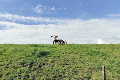 So schön ist unser Ostfriesland, Teil 1 - Bild 5