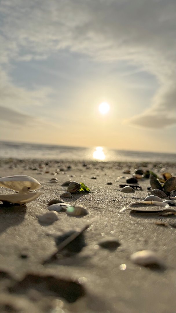 So schön ist unser Ostfriesland, Teil 1 - Bild 7