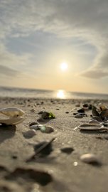 So schön ist unser Ostfriesland, Teil 1 - Bild 7