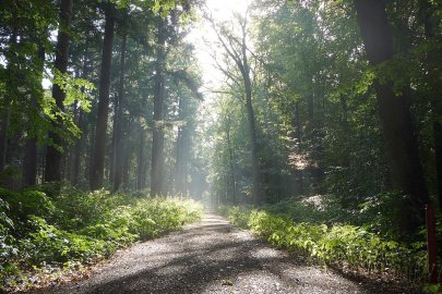 So schön ist unser Ostfriesland, Teil 2 - Bild 3