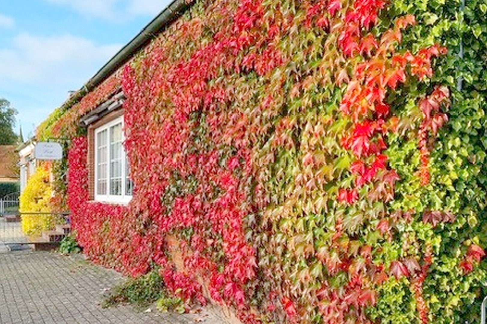 So schön ist unser Ostfriesland, Teil 2 - Bild 11