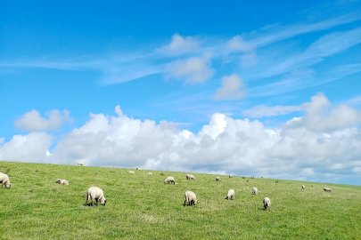 So schön ist unser Ostfriesland, Teil 1 - Bild 2