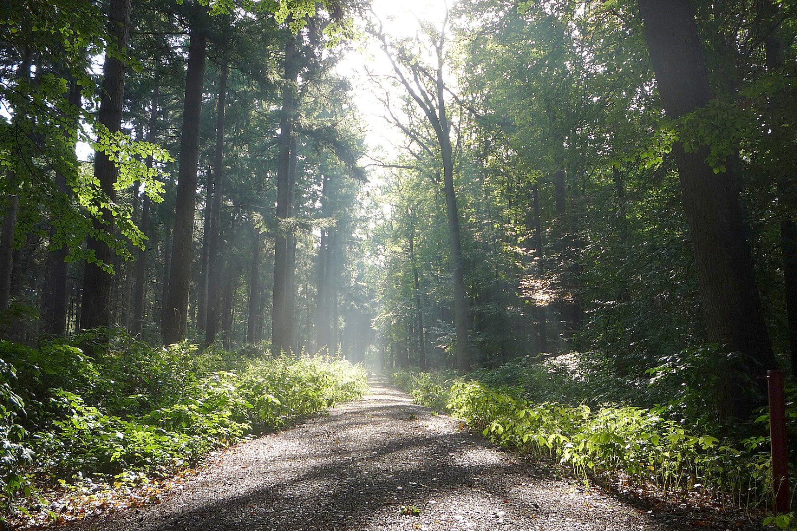 So schön ist unser Ostfriesland, Teil 2 - Bild 3