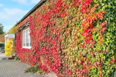 So schön ist unser Ostfriesland, Teil 2 - Bild 11