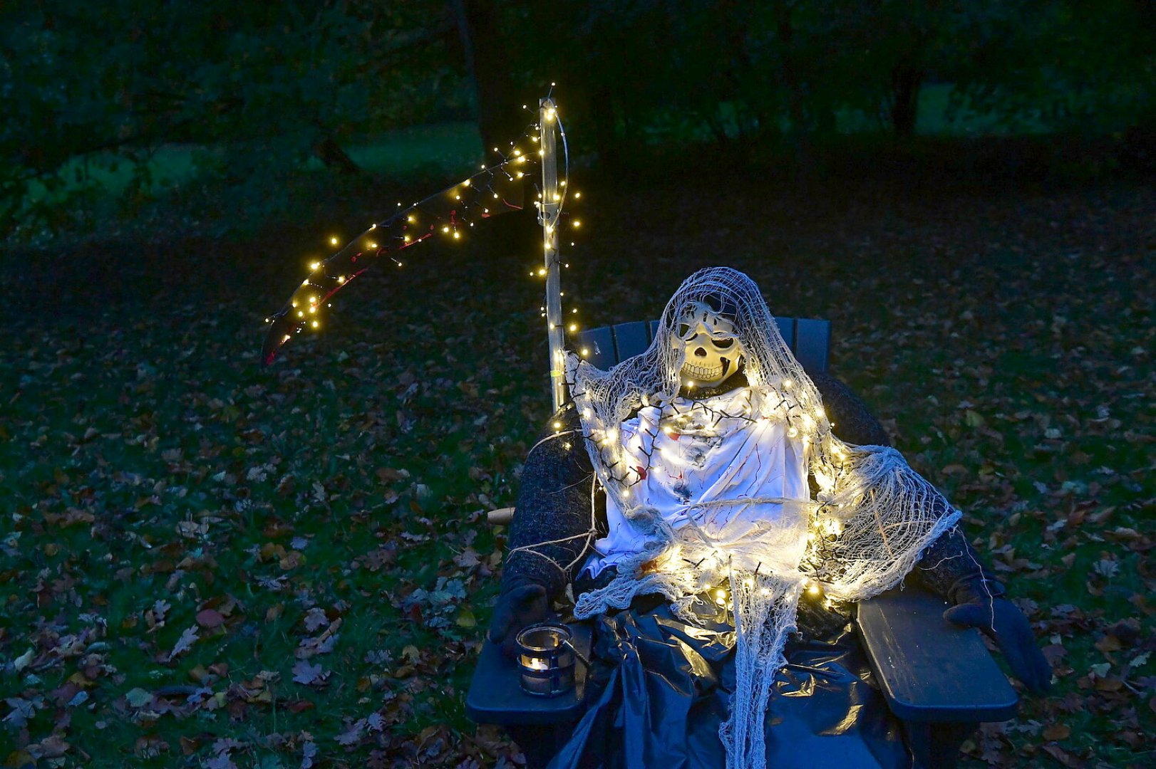 Gruselwald in Westerhusen - Bild 1