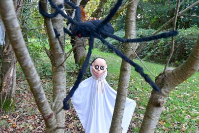 Gruselwald in Westerhusen - Bild 2